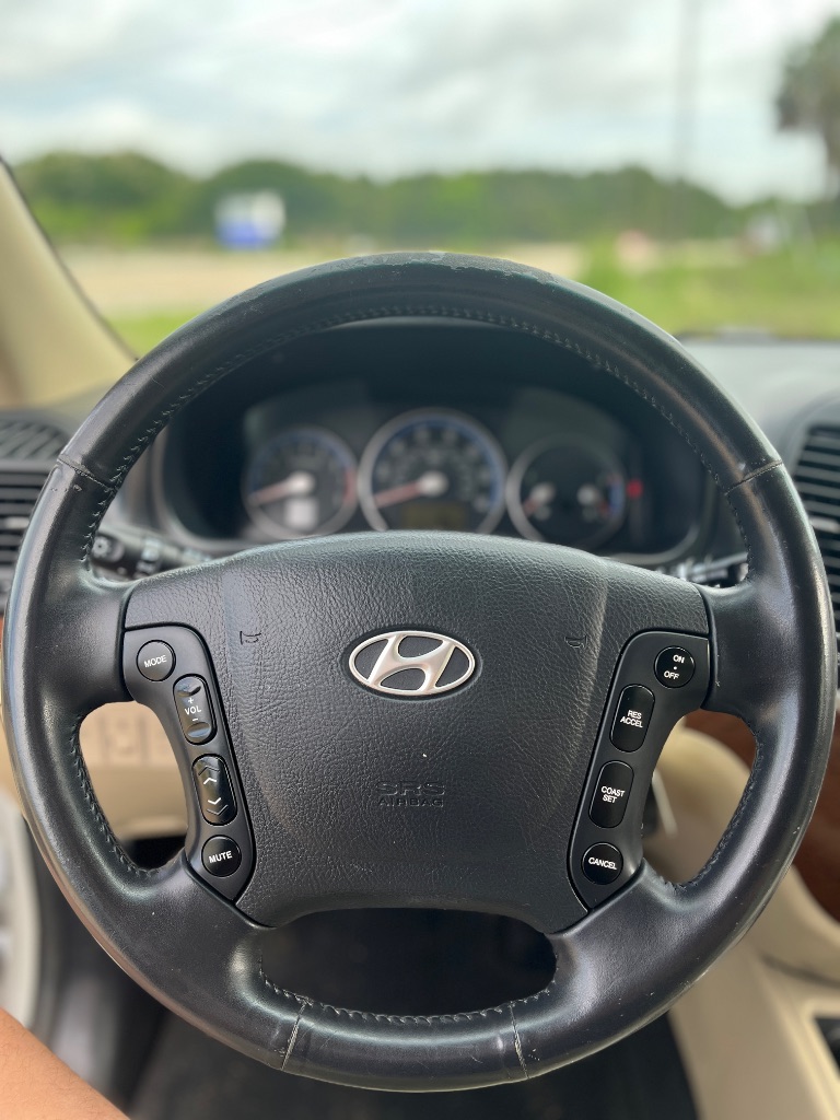 2008 Hyundai Santa Fe SE - Photo 10